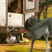 Alpha and Omega - galeria zdjęć - filmweb