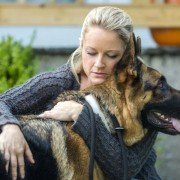 The Christmas Shepherd - galeria zdjęć - filmweb