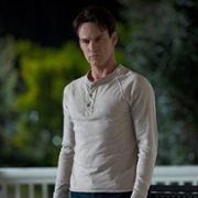 True Blood - galeria zdjęć - filmweb