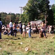 Taking Woodstock - galeria zdjęć - filmweb
