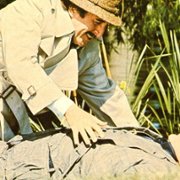 The Pink Panther Strikes Again - galeria zdjęć - filmweb
