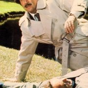 The Pink Panther Strikes Again - galeria zdjęć - filmweb