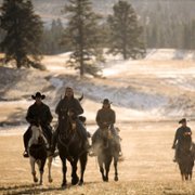 Yellowstone - galeria zdjęć - filmweb