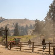 Yellowstone - galeria zdjęć - filmweb