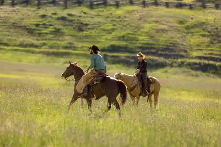 Yellowstone - galeria zdjęć - filmweb