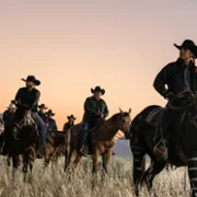 Yellowstone - galeria zdjęć - filmweb