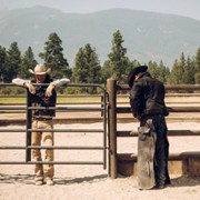 Yellowstone - galeria zdjęć - filmweb