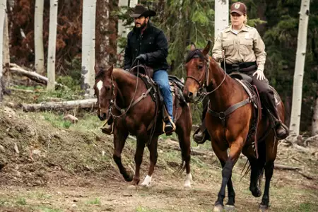 Yellowstone - galeria zdjęć - filmweb