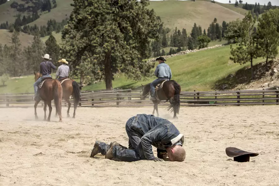 Yellowstone - galeria zdjęć - filmweb