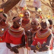 Die Weisse Massai - galeria zdjęć - filmweb