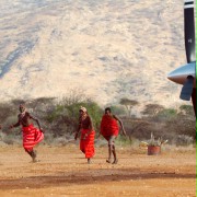 Biała Masajka - galeria zdjęć - filmweb