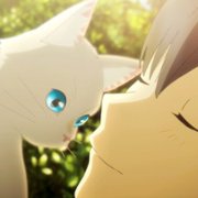 Nakitai Watashi wa Neko o Kaburu - galeria zdjęć - filmweb