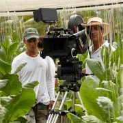 The Lost City - galeria zdjęć - filmweb