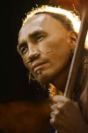 Apocalypto - galeria zdjęć - filmweb