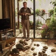 Roald Dahl's Esio Trot - galeria zdjęć - filmweb