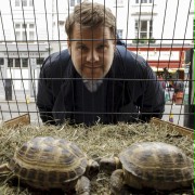 Pan Hoppy i żółwie - galeria zdjęć - filmweb