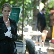 Without a Trace - galeria zdjęć - filmweb