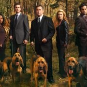 Without a Trace - galeria zdjęć - filmweb
