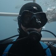 Save this shark - galeria zdjęć - filmweb