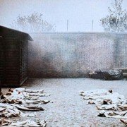 Salò o le 120 giornate di Sodoma - galeria zdjęć - filmweb