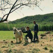 Wielka wyprawa Oskara - galeria zdjęć - filmweb