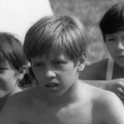 Samochodzik i Templariusze - galeria zdjęć - filmweb