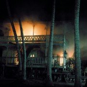 Le Sauvage - galeria zdjęć - filmweb