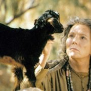 Samson i Dalila - galeria zdjęć - filmweb