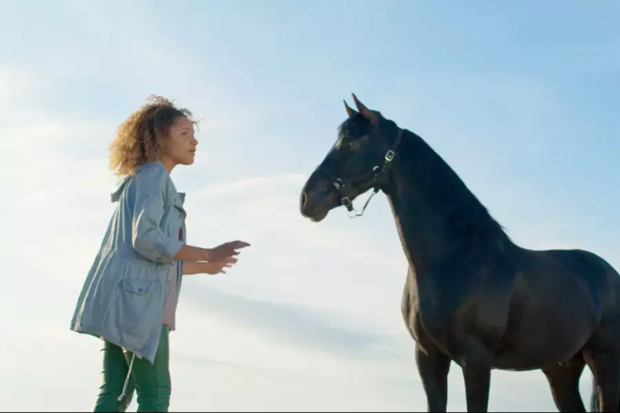 Życie w cuglach - galeria zdjęć - filmweb