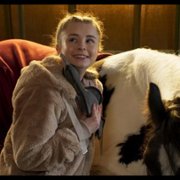 Życie w cuglach - galeria zdjęć - filmweb