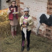 Życie w cuglach - galeria zdjęć - filmweb