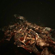 Outlast - galeria zdjęć - filmweb