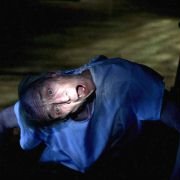 Nienarodzony - galeria zdjęć - filmweb