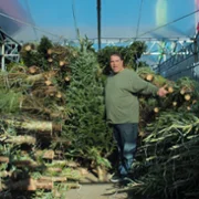 The Merchants of Joy - galeria zdjęć - filmweb