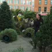 The Merchants of Joy - galeria zdjęć - filmweb