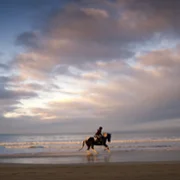 Death of a Showjumper - galeria zdjęć - filmweb