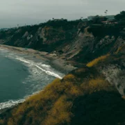 Wydział Zabójstw - galeria zdjęć - filmweb