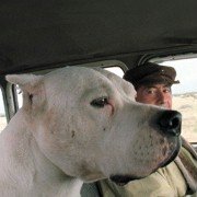 Bombon. El Perro - galeria zdjęć - filmweb