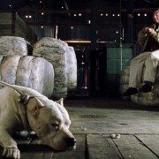 El Perro - galeria zdjęć - filmweb
