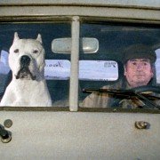 El Perro - galeria zdjęć - filmweb
