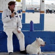 El Perro - galeria zdjęć - filmweb