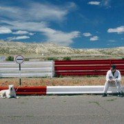 El Perro - galeria zdjęć - filmweb