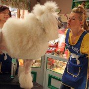 Hela w opałach - galeria zdjęć - filmweb