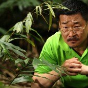 Hold Zhu Ai - galeria zdjęć - filmweb