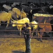 Fast Food Nation - galeria zdjęć - filmweb