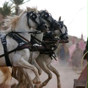 Ben Hur - galeria zdjęć - filmweb