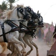 Ben Hur - galeria zdjęć - filmweb