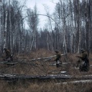 Természetes fény - galeria zdjęć - filmweb
