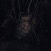 Természetes fény - galeria zdjęć - filmweb