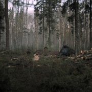 Természetes fény - galeria zdjęć - filmweb